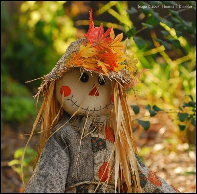 Scarecrow.JPG