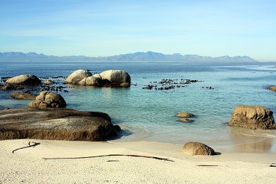False Bay and the Cape of Good Hope Natural Reserve