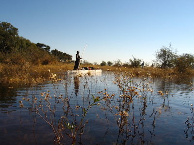 On the Okavango Delta