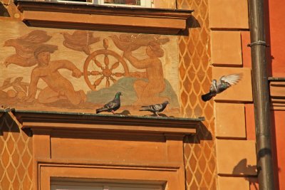 Pigeons in the Old Town Square