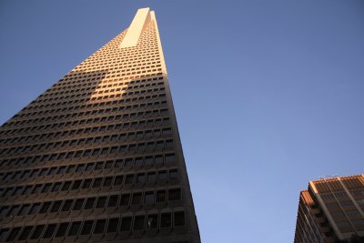 The Trans America Building