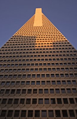 The Trans America Building