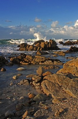Pacific Grove