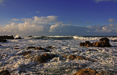 Pacific Grove