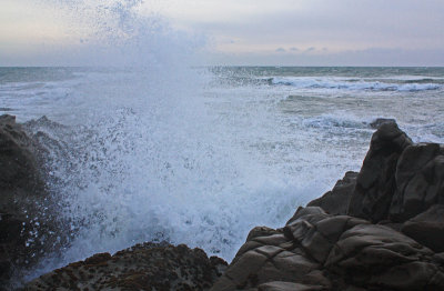 Cayucos State Beach