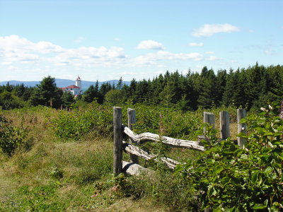 Sur l'le Verte