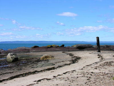 Sur l'le Verte