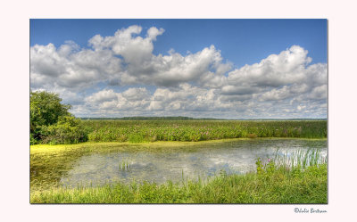 Montezuma Landscape