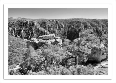 Fred's Southeast Arizona Images