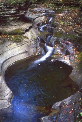 Watkins Glen