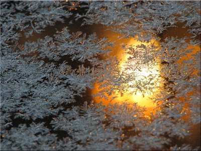 Frost Glow