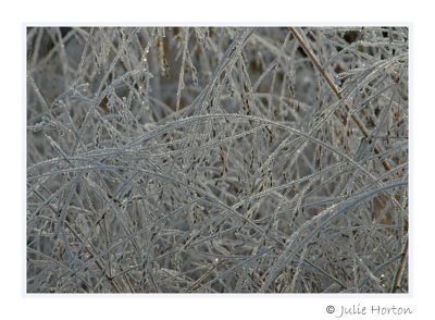 Frost Abstract