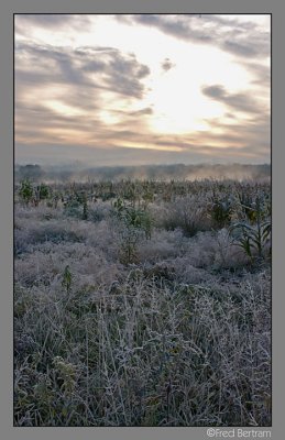 Oxbow Trail, frosty morning