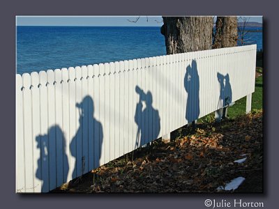 Birding in the Shadows