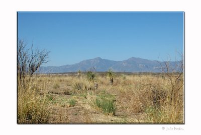 San Pedro Riparian National Conservation area