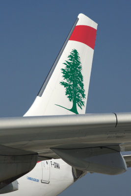 MEA AIRBUS A330 200 CDG RF IMG_1869.jpg