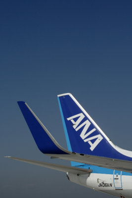 g3/05/686005/3/89992288.9yozc4qU.jpg