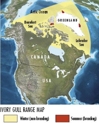 Ivory Gull range map.jpg