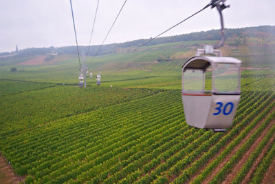 Flying across vineyard