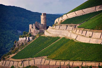 Castles on the cliffs by Rhine River bank