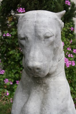 IMG_6137.JPG