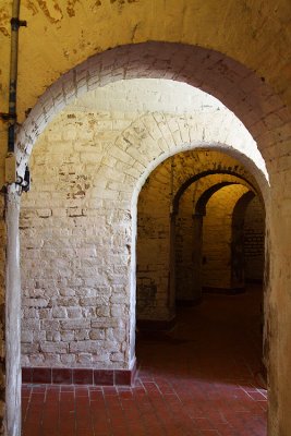 IMG_1408.jpg
