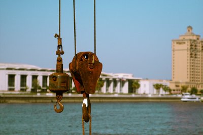 IMG_1138.jpg
