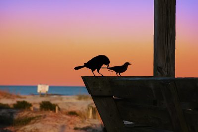 IMG_1250_3.jpg