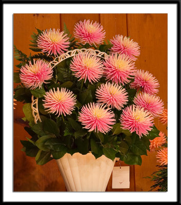 Aitara-Caress-best-basket.jpg