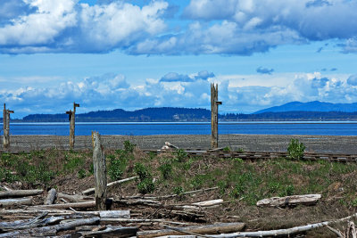 _DSC4508-2-10.jpg