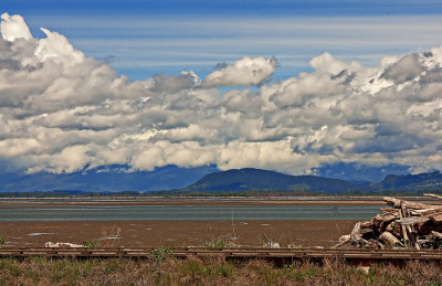 _DSC4514-2-10.jpg