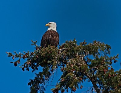 _DSC5021-2-10.jpg