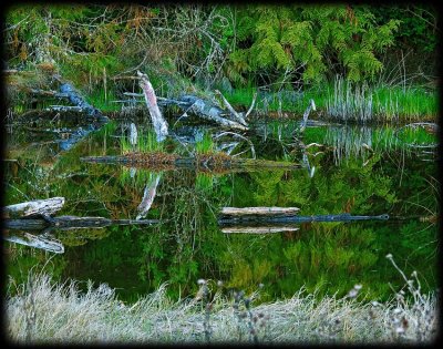 _DSC5123-2-1-10.jpg