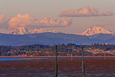 _DSC5303-2-10.jpg