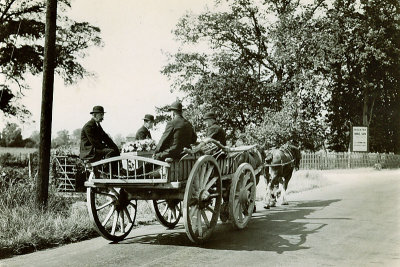 StephenBusby TM25.jpg