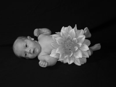 2009 Mar 17 029.JPG