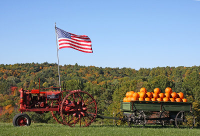 Tractor pumpkins