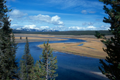 Hayden Valley river