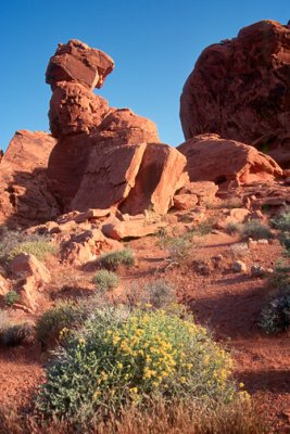 Valley of Fire NV