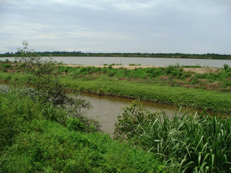 Santa Rosa Marsh