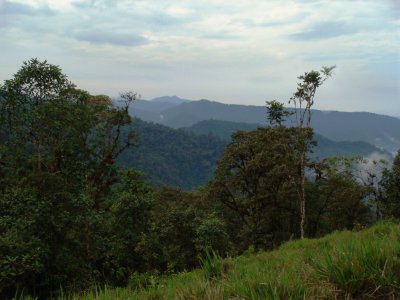 View from Reserva Las Gralarias