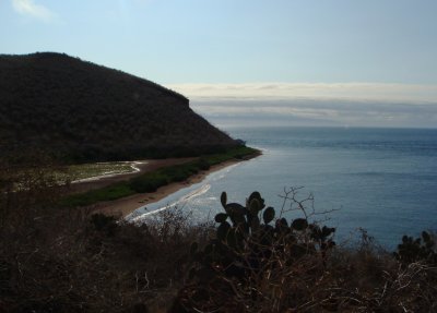 Rabida