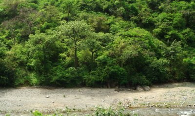 Calvas River