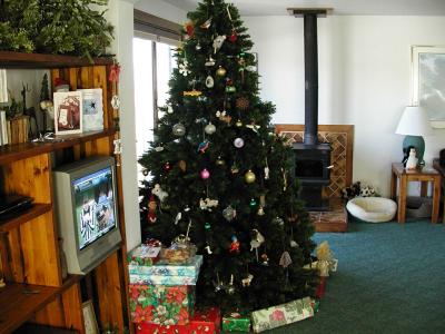 g3/05/88805/3/54225437.PC113167_treebeforeRedLodge.jpg