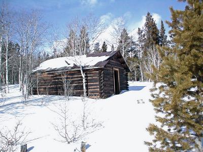 P1210009_cabin and aspens.jpg