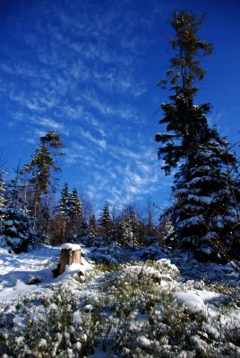 WINTER IN THE GORCE' 2010