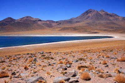 Miscanti Lagoon