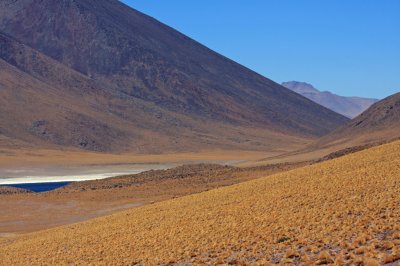 Edge of Meniques Lagoon