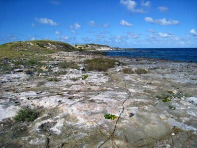 Gibbs Cay