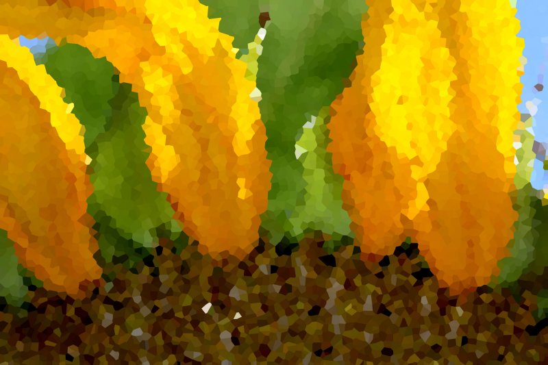 Pixilated Sunflower